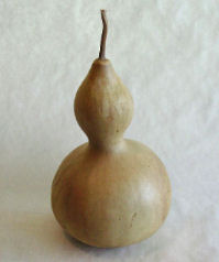 Scraped gourd